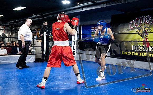 Cougar Boxing -0170