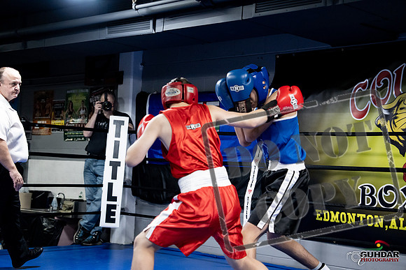 Cougar Boxing -0171
