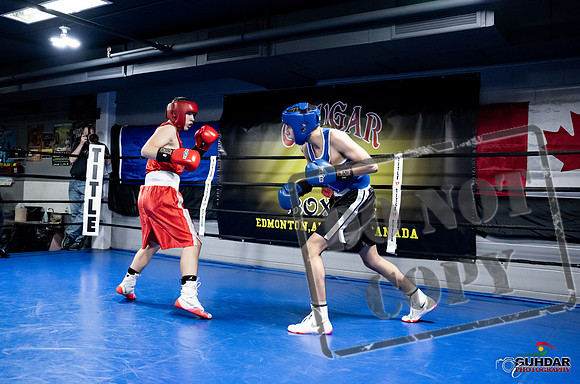 Cougar Boxing -0172