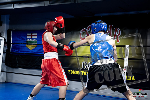 Cougar Boxing -0173