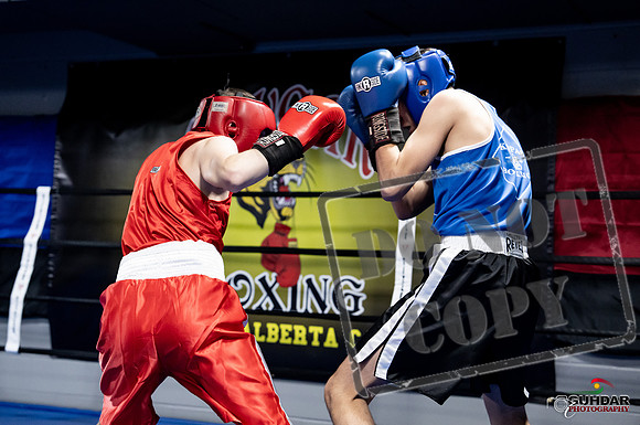 Cougar Boxing -0174