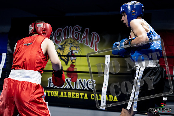 Cougar Boxing -0175