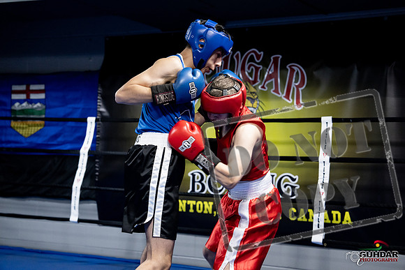 Cougar Boxing -0177