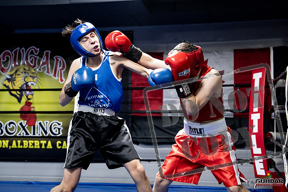 Cougar Boxing -0178
