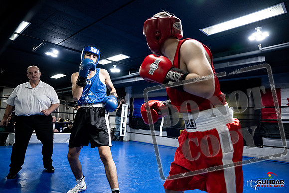 Cougar Boxing -0179