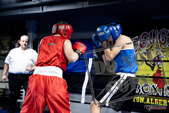 Cougar Boxing -0181