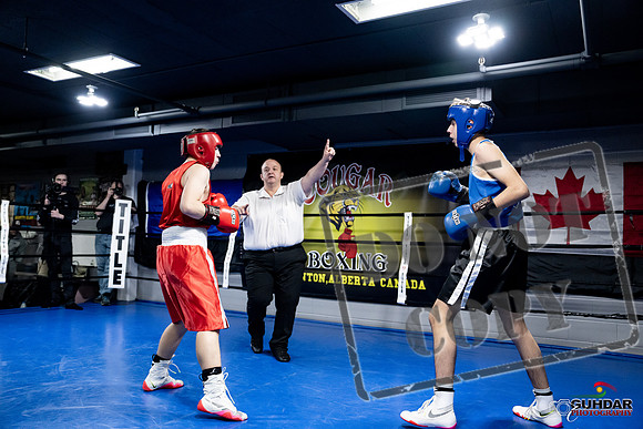 Cougar Boxing -0184