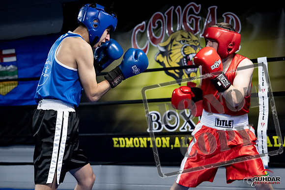 Cougar Boxing -0188