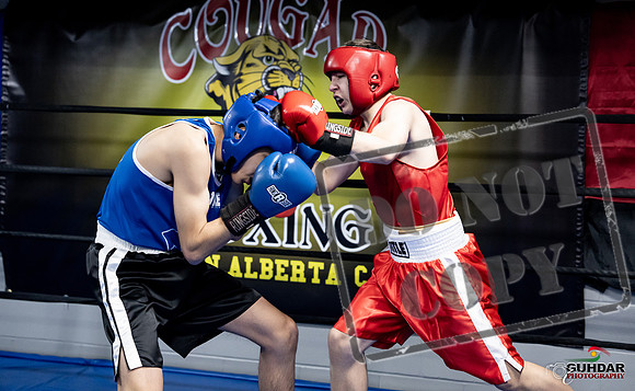 Cougar Boxing -0189