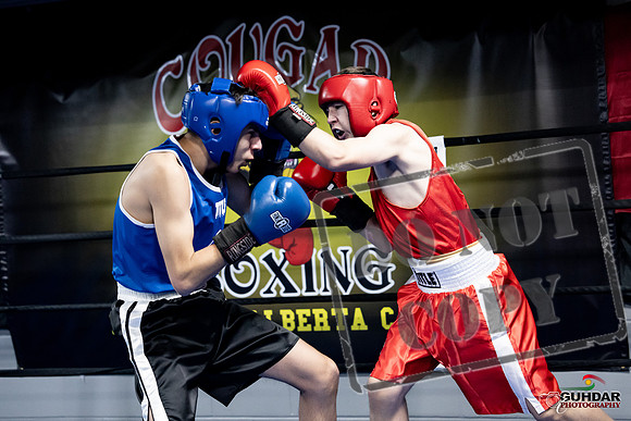 Cougar Boxing -0190