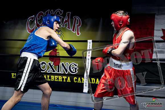 Cougar Boxing -0191