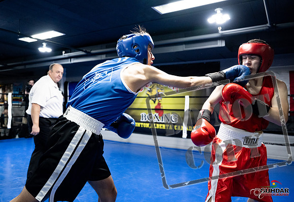 Cougar Boxing -0193