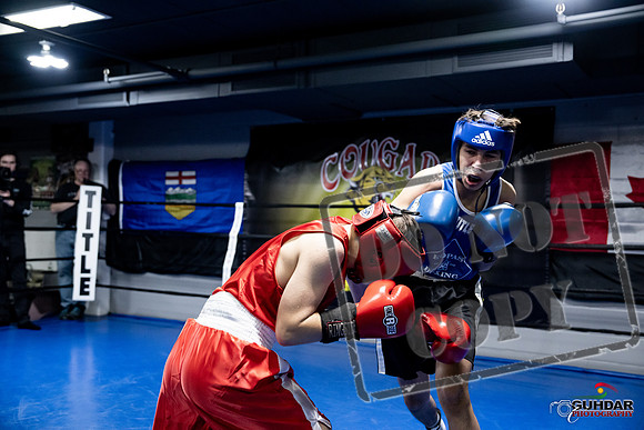 Cougar Boxing -0194