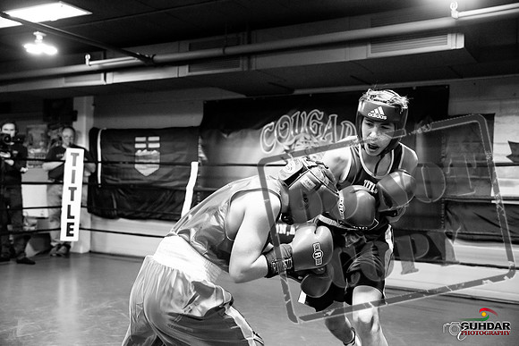 Cougar Boxing -0195