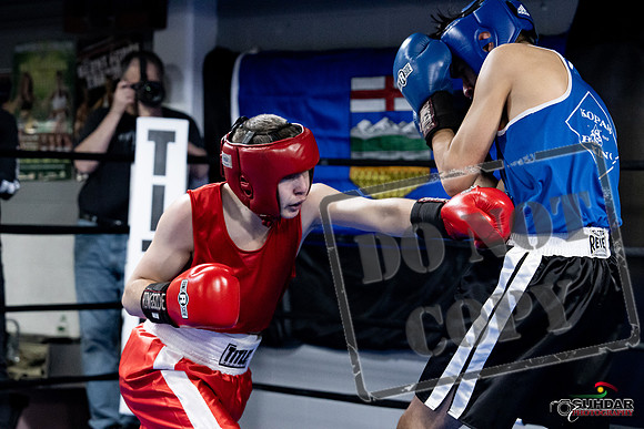 Cougar Boxing -0197