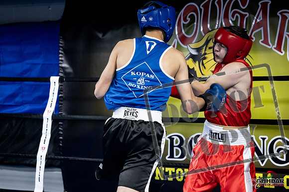 Cougar Boxing -0198