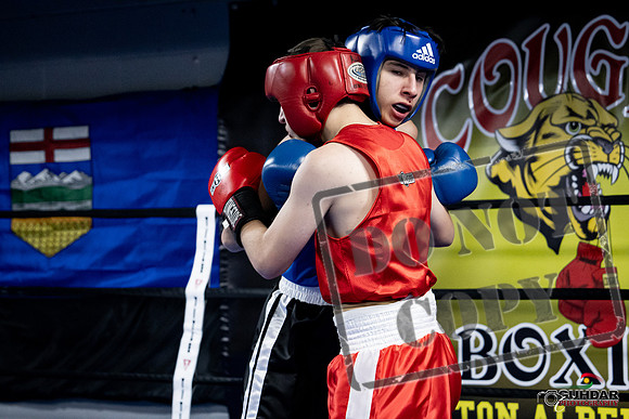 Cougar Boxing -0199