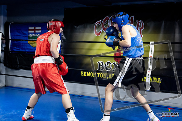 Cougar Boxing -0200
