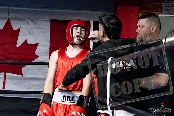 Cougar Boxing -0201