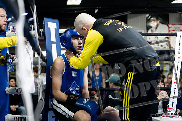 Cougar Boxing -0202