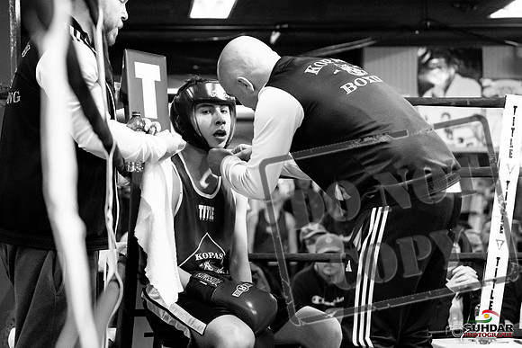 Cougar Boxing -0203