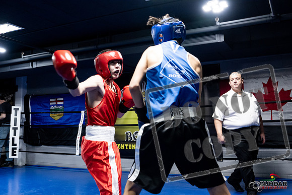 Cougar Boxing -0204