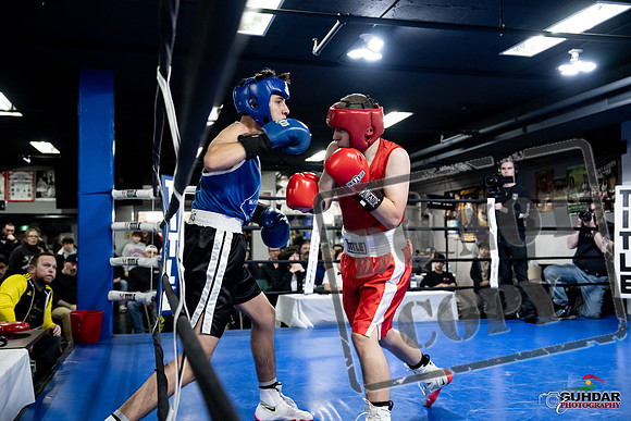Cougar Boxing -0206