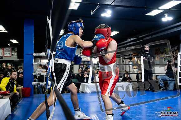 Cougar Boxing -0207