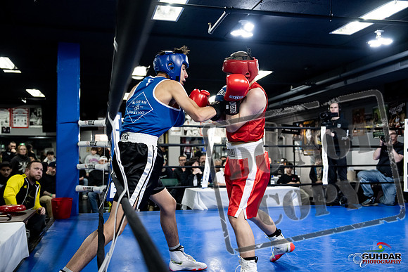 Cougar Boxing -0208