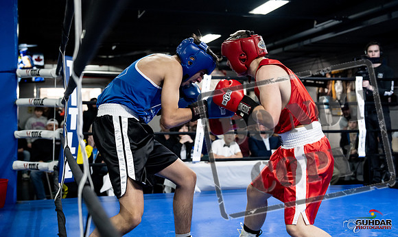 Cougar Boxing -0210