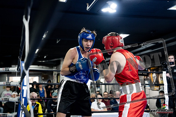 Cougar Boxing -0209