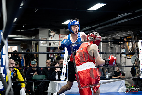 Cougar Boxing -0212