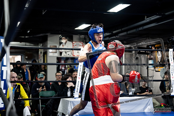 Cougar Boxing -0213