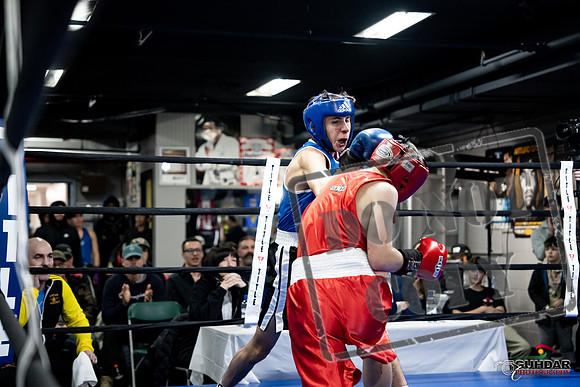 Cougar Boxing -0214
