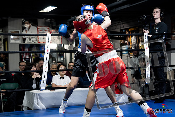 Cougar Boxing -0215