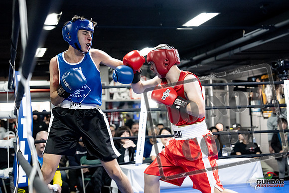Cougar Boxing -0216