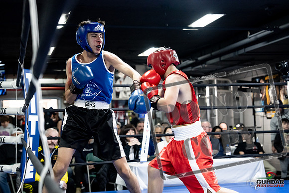 Cougar Boxing -0217