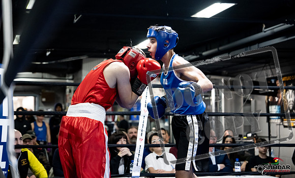 Cougar Boxing -0218