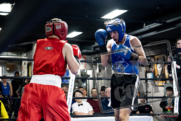 Cougar Boxing -0219
