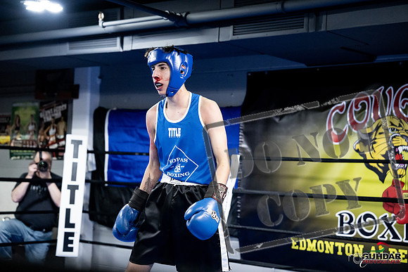Cougar Boxing -0220