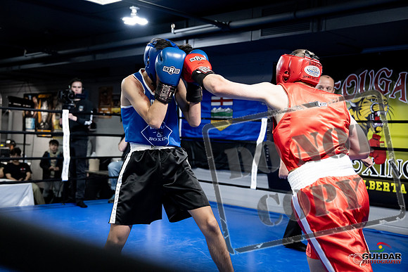 Cougar Boxing -0226