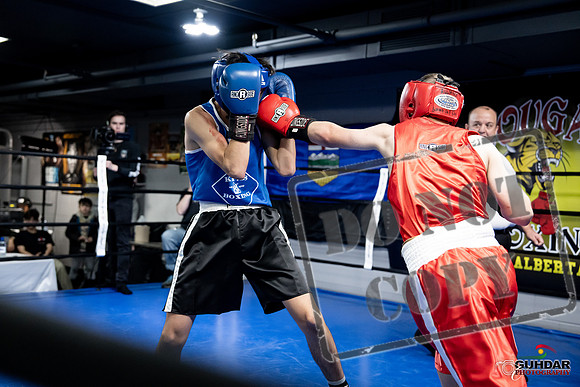 Cougar Boxing -0227