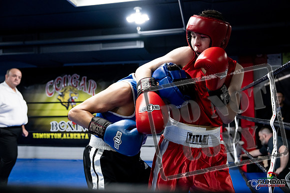 Cougar Boxing -0231
