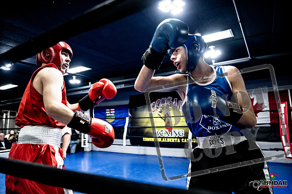 Cougar Boxing -0233