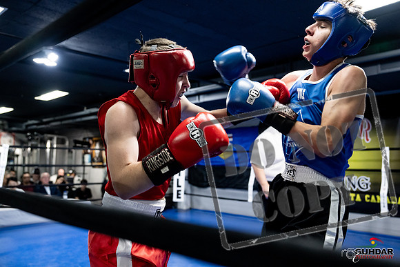 Cougar Boxing -0236