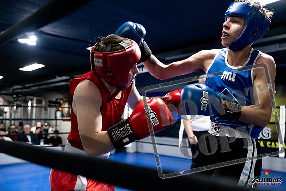 Cougar Boxing -0237