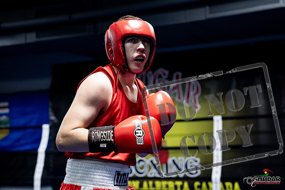 Cougar Boxing -0238
