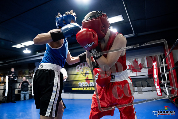 Cougar Boxing -0239