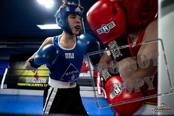 Cougar Boxing -0241