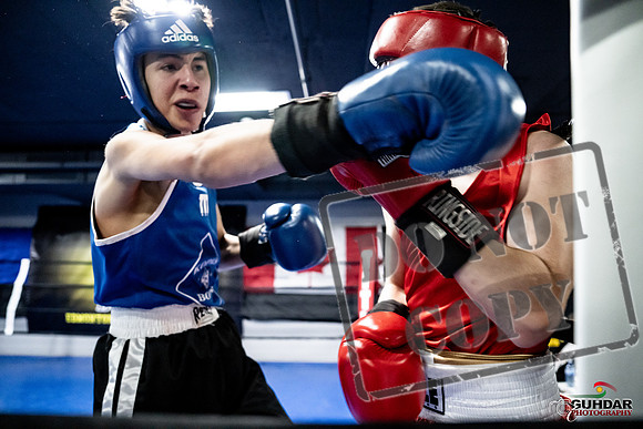 Cougar Boxing -0243
